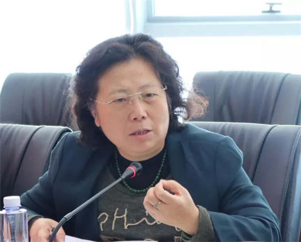 徐瑄专家发言
